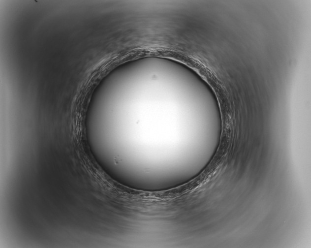 X0000094321398200711021104