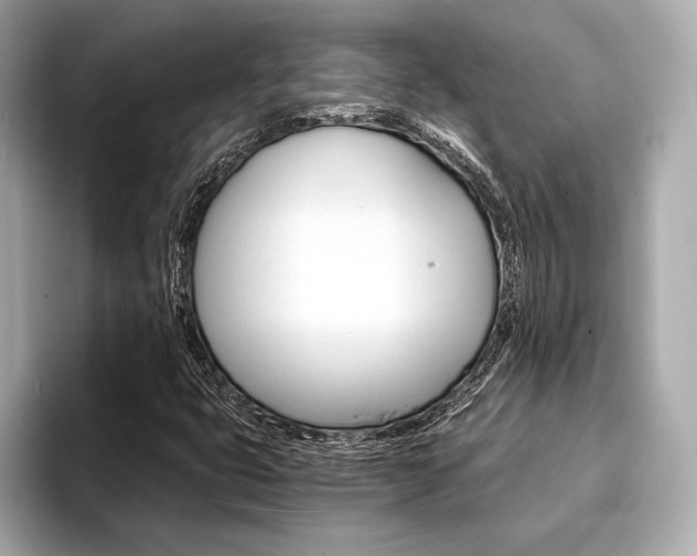 X0000094321399200711021104