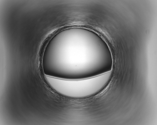 X0000094321406200711021104