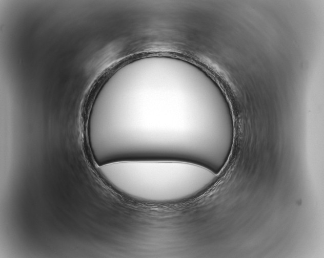 X0000094321408200711021104