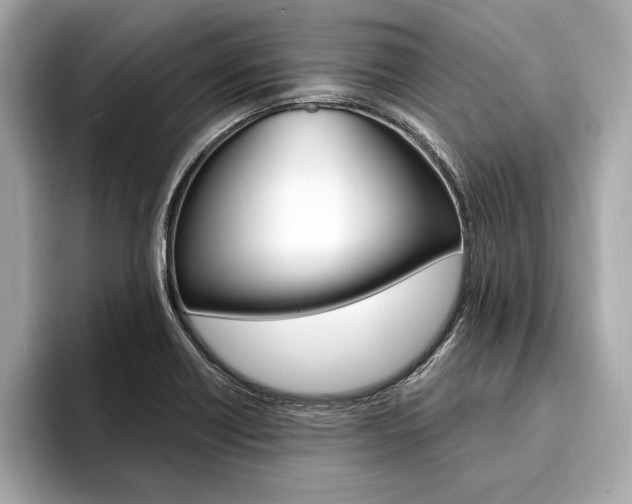 X0000094321418200711021105