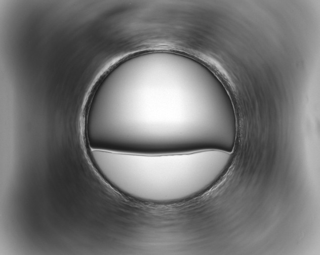 X0000094321424200711021105