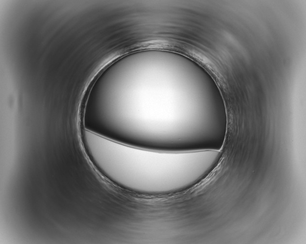X0000094321426200711021105