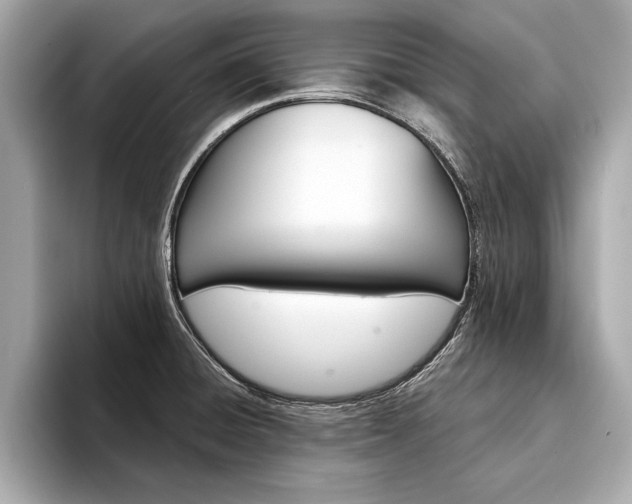 X0000094321428200711021105