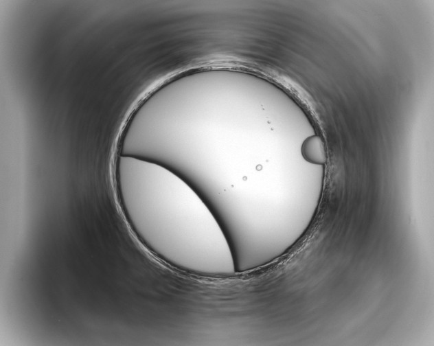 X0000094321429200711021105