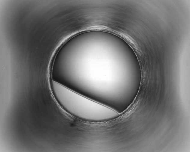X0000094321430200711021105