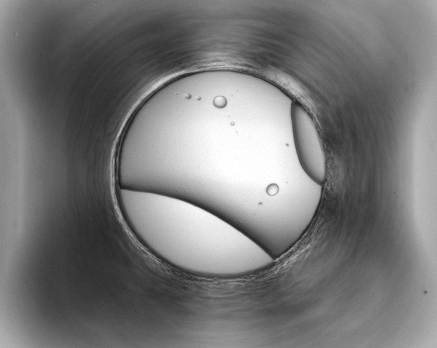 X0000094321431200711021105
