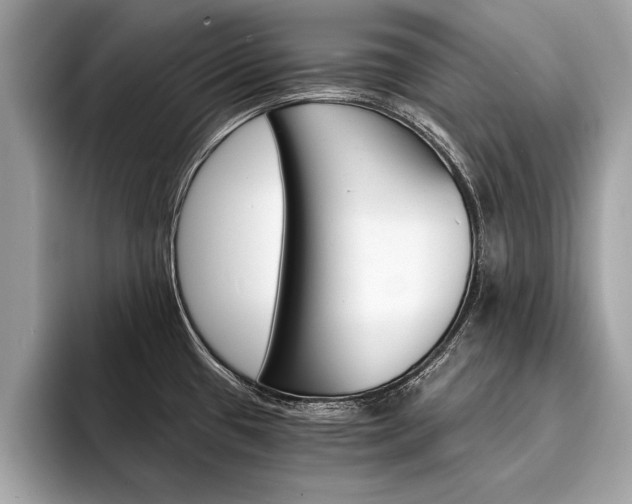 X0000094321433200711021105