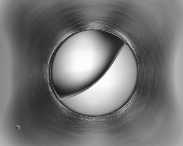 X0000094321434200711021105