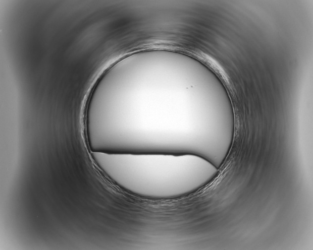 X0000094321435200711021105