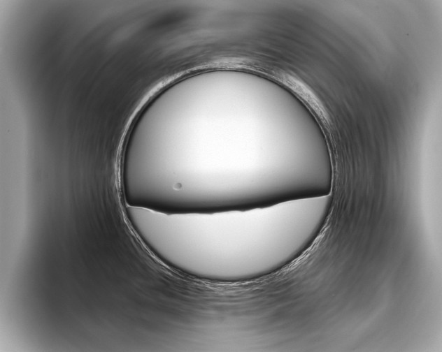 X0000094321436200711021105