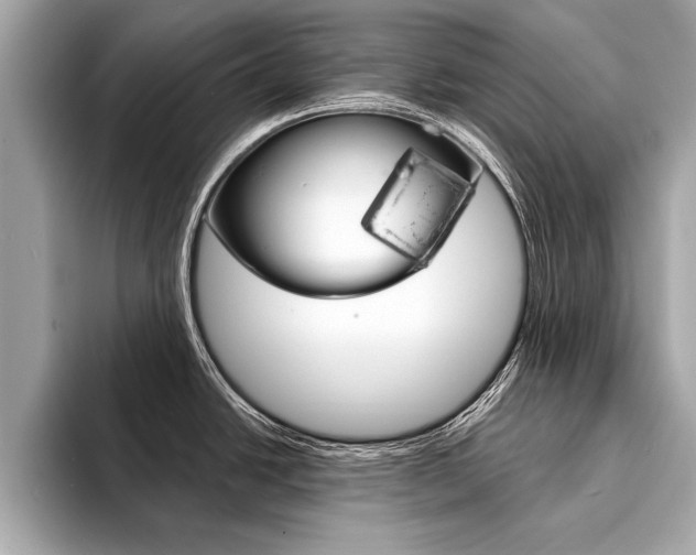 X0000094321438200711021105