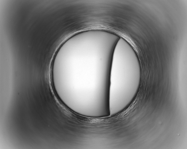 X0000094321439200711021105