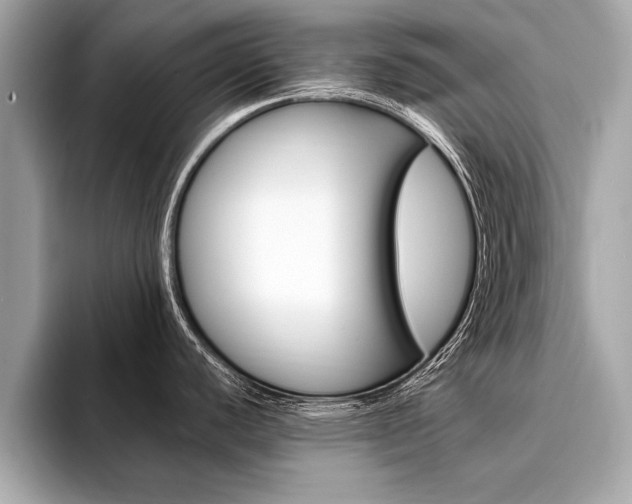 X0000094321440200711021105