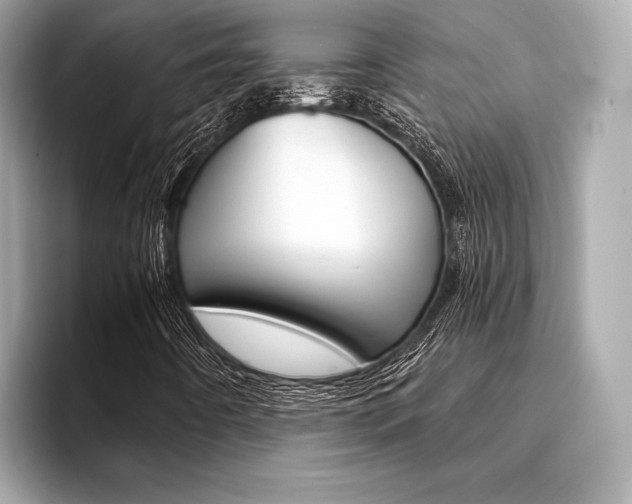 X0000094321442200711021104