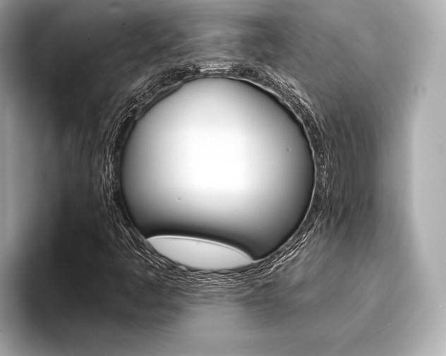 X0000094321445200711021104