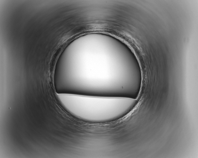 X0000094321449200711021104