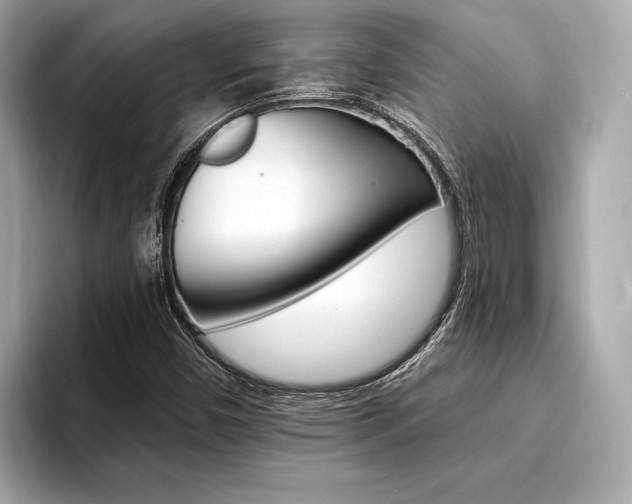 X0000094321450200711021104