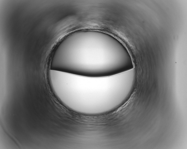 X0000094321455200711021104