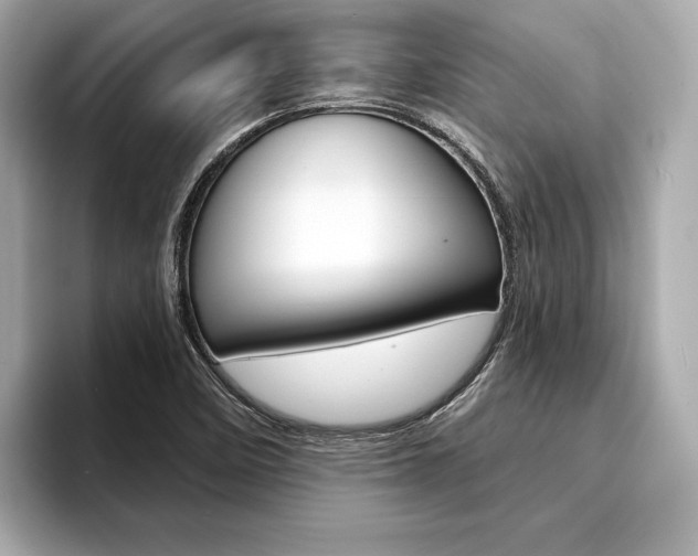 X0000094321458200711021104