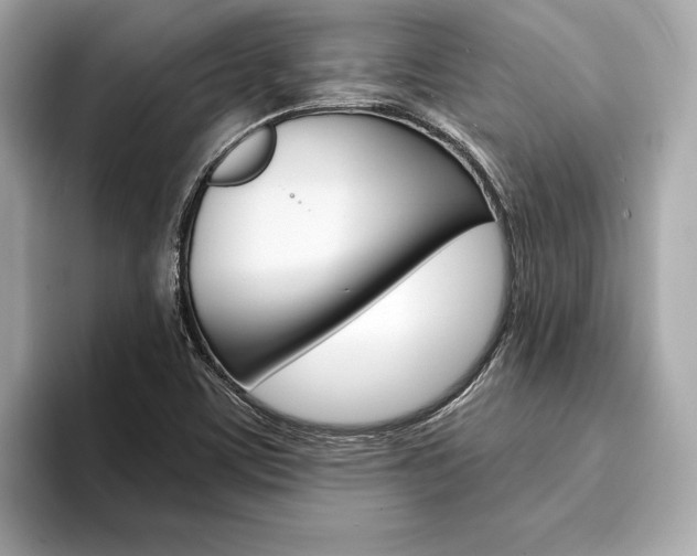 X0000094321459200711021104