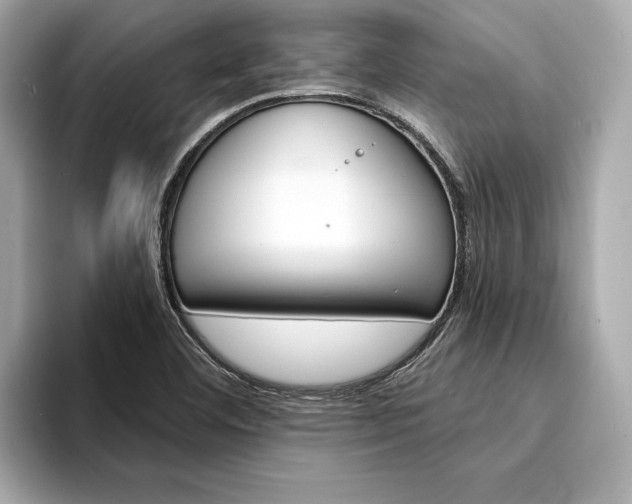 X0000094321460200711021104