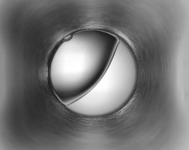 X0000094321461200711021104