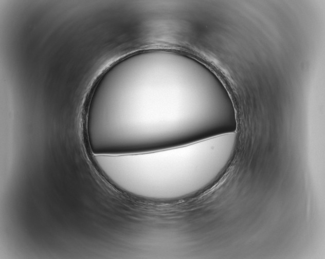 X0000094321463200711021104
