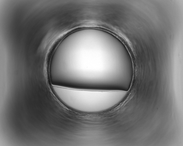 X0000094321464200711021104