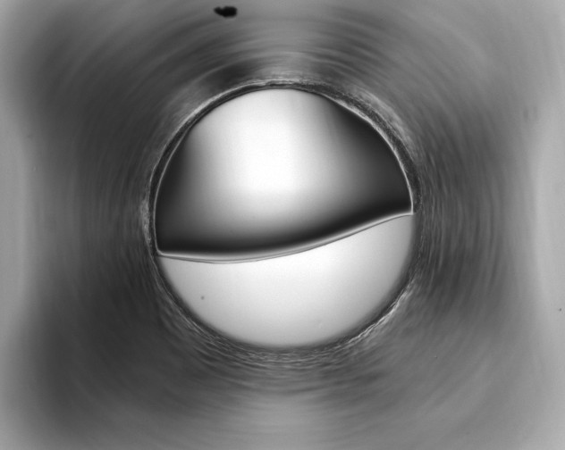 X0000094321465200711021104