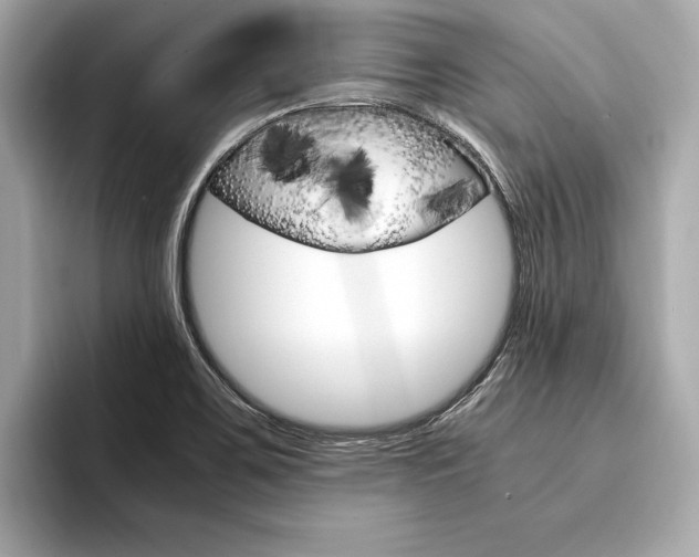 X0000094321467200711021104