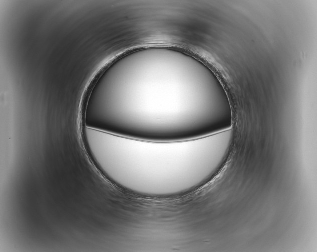 X0000094321469200711021104