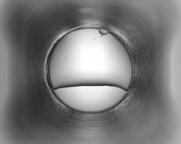 X0000094321471200711021104