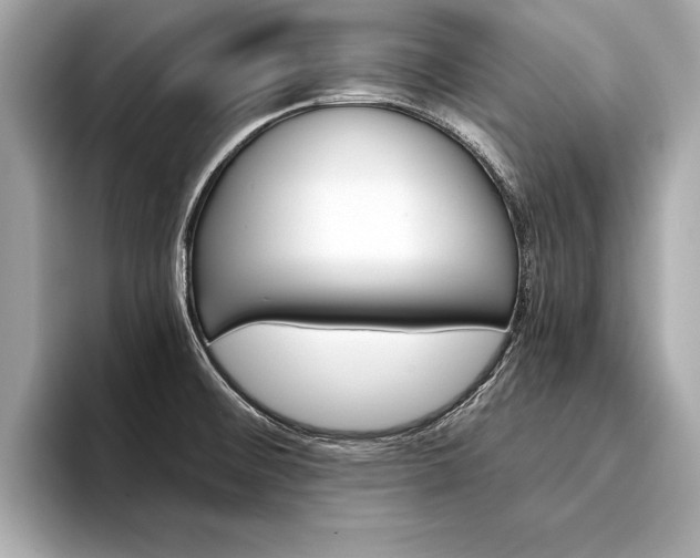 X0000094321476200711021104