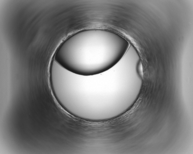 X0000094321479200711021104