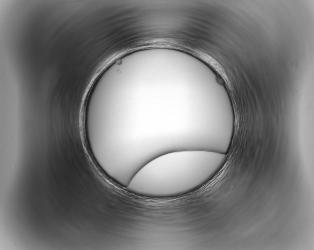 X0000094321482200711021104