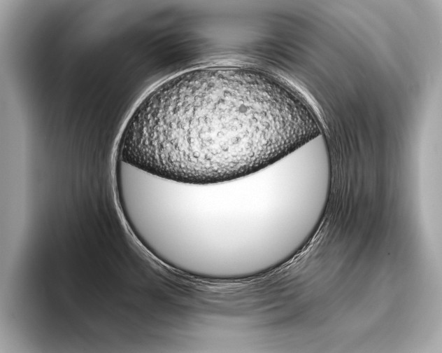 X0000094321483200711021104