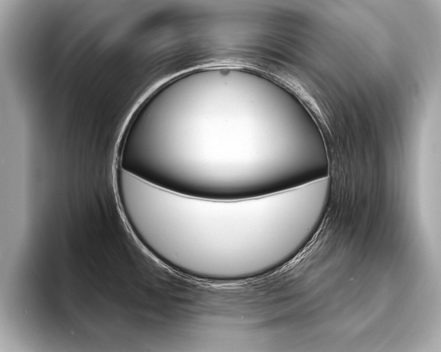 X0000094321484200711021104