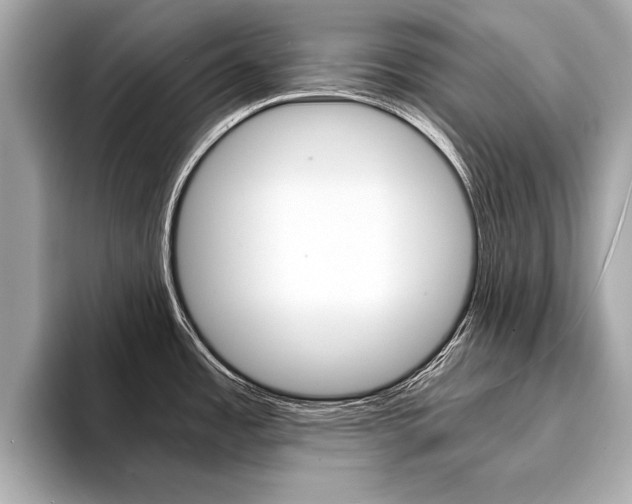 X0000094321485200711021104