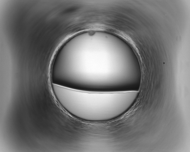 X0000094321488200711021104