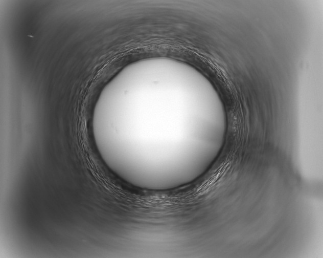 X0000094321489200711021103