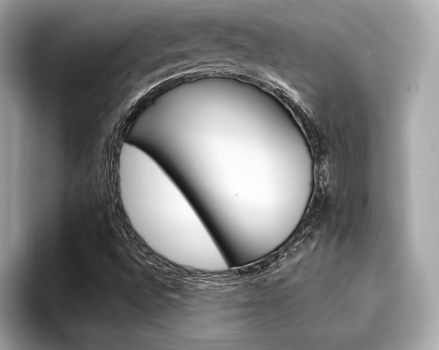 X0000094321496200711021103
