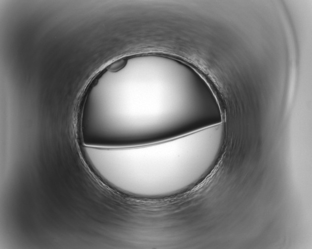 X0000094321500200711021103