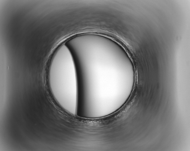 X0000094321501200711021103