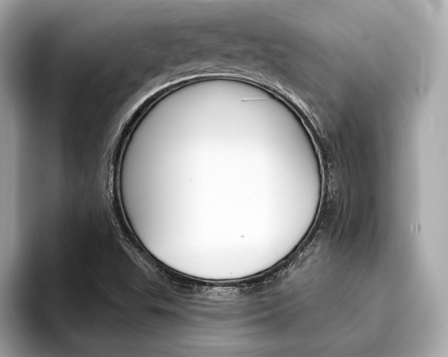 X0000094321503200711021103