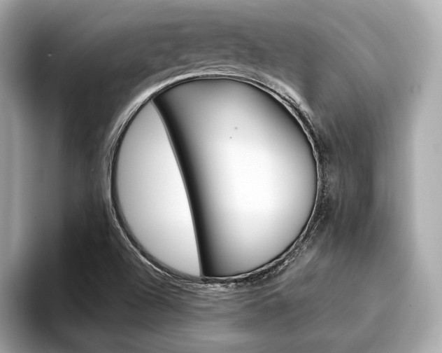 X0000094321504200711021103