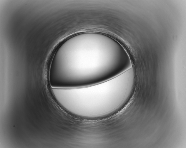 X0000094321506200711021103