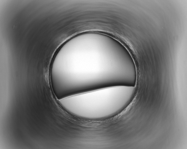 X0000094321513200711021103