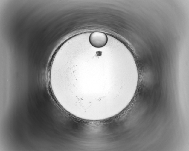X0000094321514200711021103