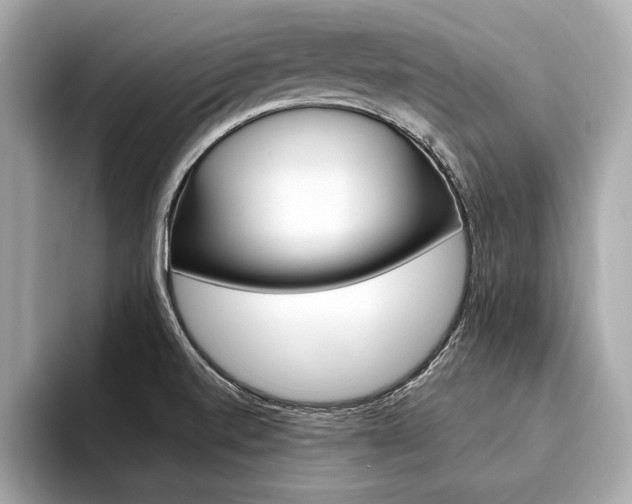 X0000094321520200711021103